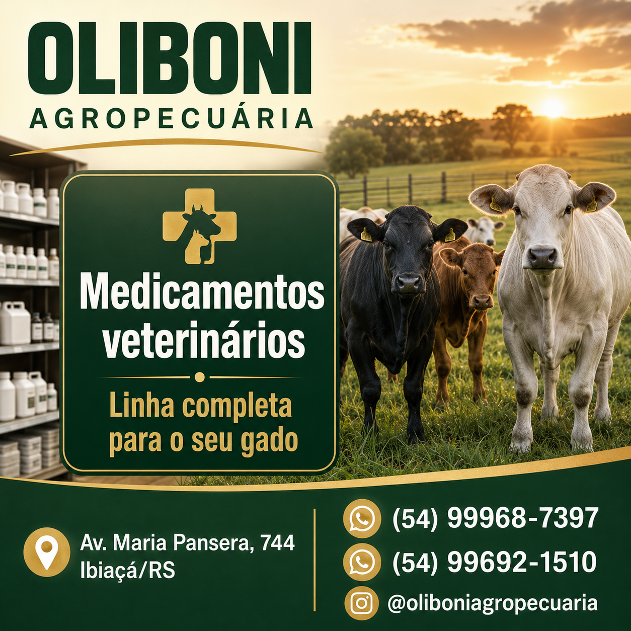 Agropecuária Oliboni